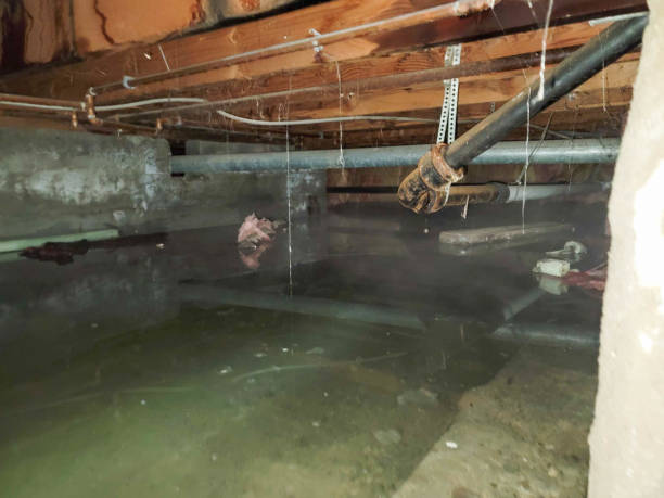 Water damage restoration insurance claims in New Martinsville, WV