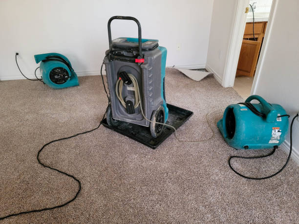 Best Local water damage restoration  in New Martinsville, WV
