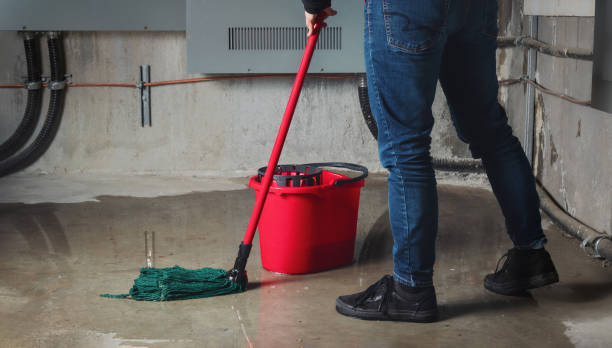 Best Ceiling water damage repair  in New Martinsville, WV
