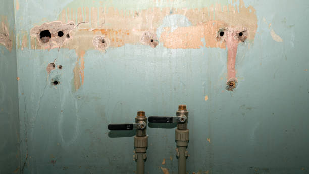 Best Sewage cleanup and water damage restoration  in New Martinsville, WV