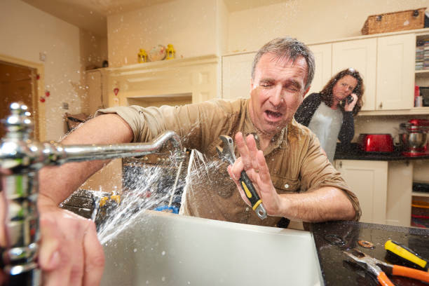 Best Water damage restoration near me  in New Martinsville, WV
